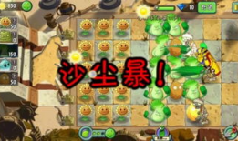 新sss视频在线观看,精彩瞬间在线重温